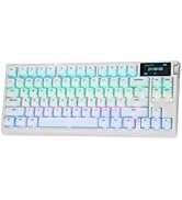 Amazon | EPOMAKER X AULA F75 MAX トライモードワイヤレスゲーミング